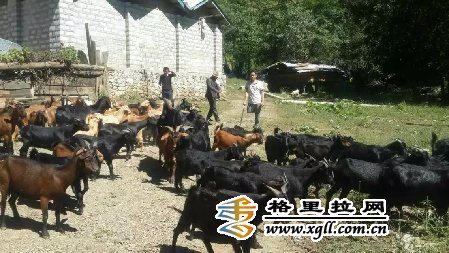 ũȫм˷չֳ̬ҵȫ20м¸ϣ