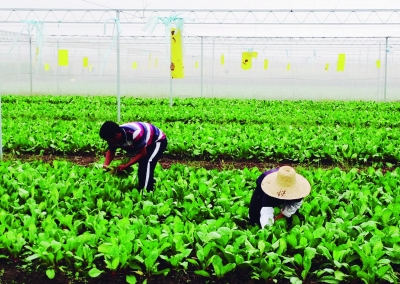 �Ͼ�����20����Ķ�����Ա�׼���߲˻���