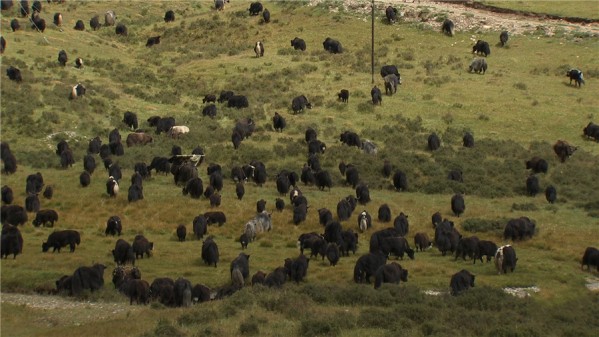 余根来:九天九夜带你破解亿万财富的秘密《致富经》2