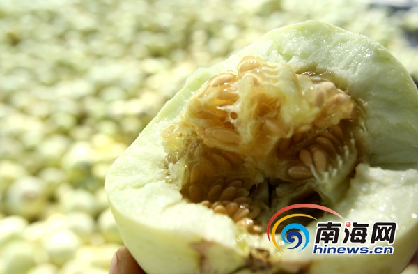 �����������Կ����������