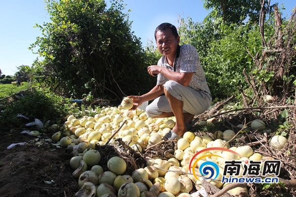 �������������ڵ�������