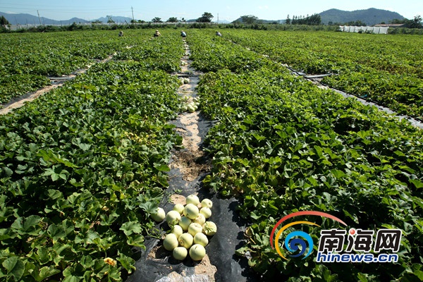 �����͵Ĺϵ�