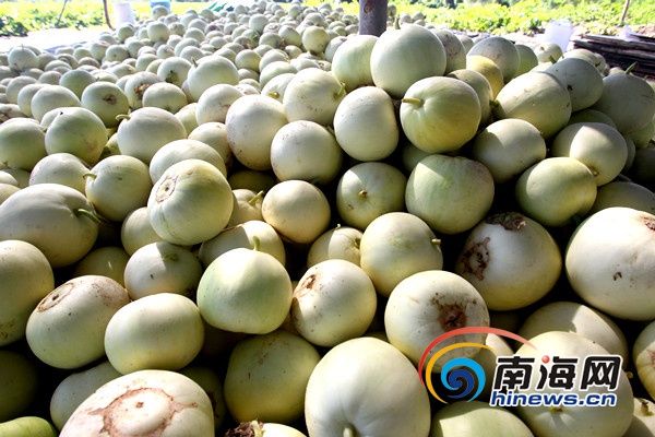 �������������������