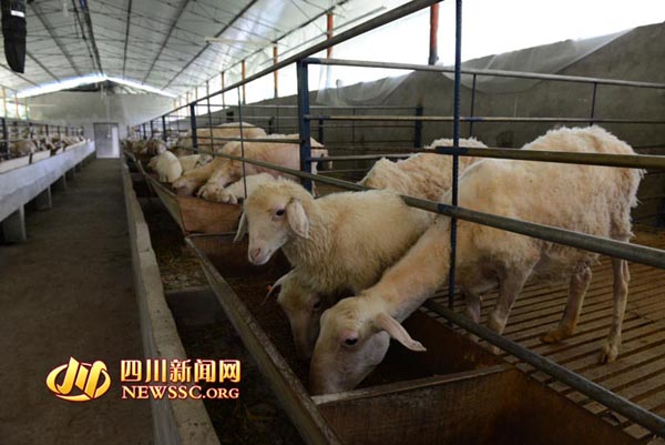 ¤ũ񹤷紴ҵ ̬ũҵ¸