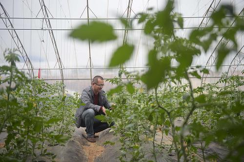 1113գԱɽС߲˿԰鿴ơ