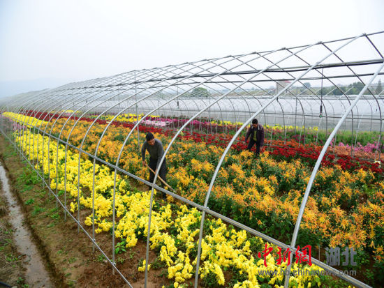 ɽش2000Ķִũҵ۹԰