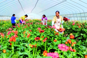 ͼΪ°ƽĻܴڣũڲժʻ