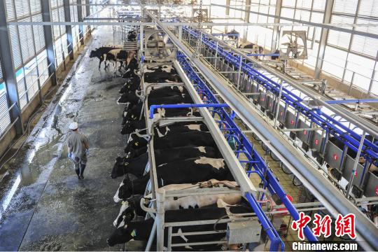 лţ̹˾25ս״ιӦۡ