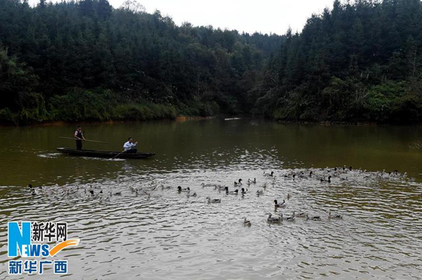 1123գɿɳңڰũĪѼӣ׼㶫