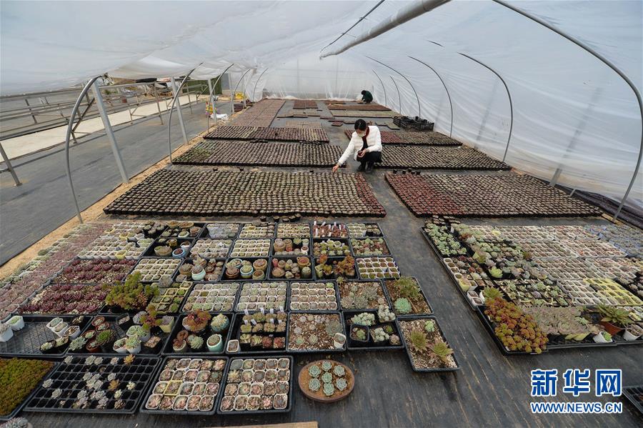 ռ´壬ǰڽֲĶֲæµ1130㣩