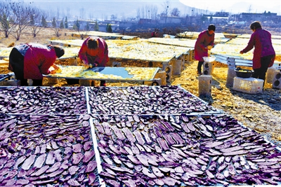 126գɽʡׯɽͤǴũɹعϸ׼ڡ