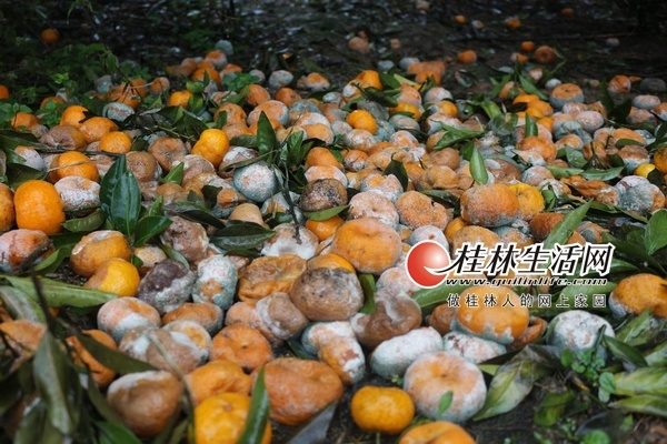 ���ڳ������꣬�ܶ��Ϸ��۽����ڵ��Ϸ�ù�ˡ�