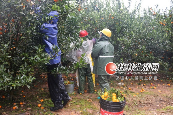 ����ð��ժ����