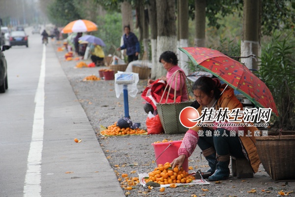 ̶�µ�һЩ�����ڹ�·���������Լ��ֵ� �� �� �۽ۡ�