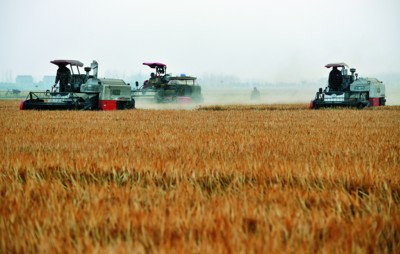 ����ʡ��ʳ����ʵ�֡�ʮ�����ᡱ �ܲ���707.6�ڽ�