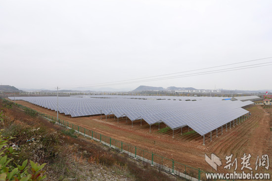 如今已经崛起为集光伏发电、温室大棚全自动立体种植于一体的光伏农业生态产业园
