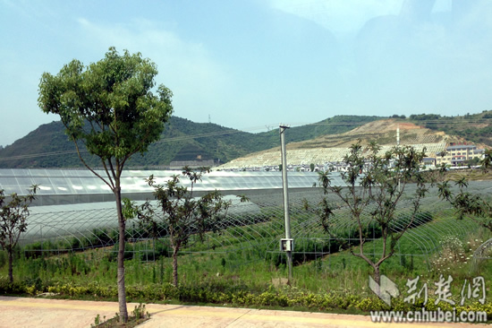 2014年6月记者拍摄的卧龙岗社区太阳能光伏发电试验大棚