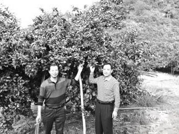 ɺͺνһļ٣ֲģʽ۲ԡ