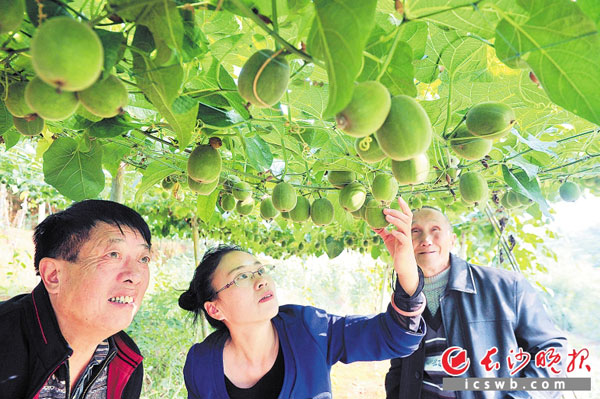 ܴӢУڹ޺£ְֵؽ̴޺ע