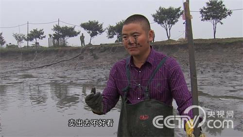 沈文根:养鱼一年 多卖1000万元《致富经》