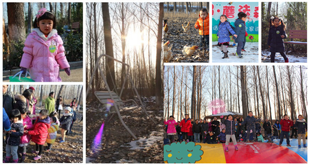 ������ũ�������»�����ũҵ���ƶ����лع���԰