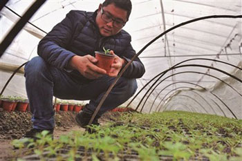 㽭򣺸߿Ƽȡٹ ֳ࿪