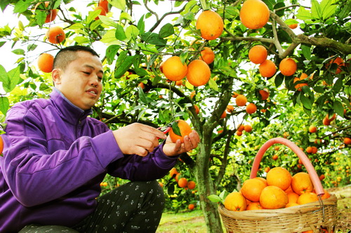 Ĵأ80侯ũ 紴ҵԲ̻ĵ