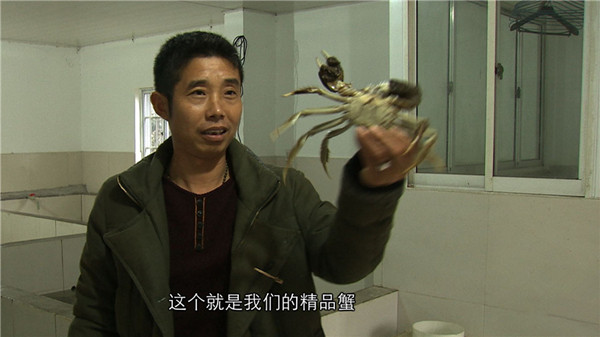 浙江湖州市:千万财富从发现螃蟹的“脸”起步《致富经》