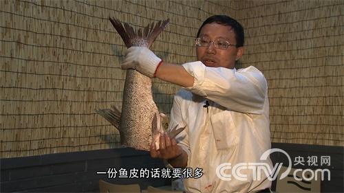 Âíλǿ£º¿¿ÓãÆ¤×¬Ç®µÄÈË¡¶Ö¸»¾¡·