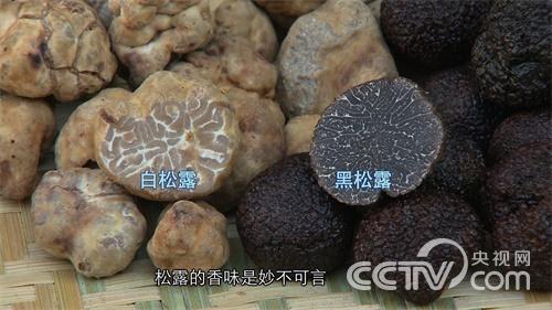 谭新培:地下寻宝《致富经》2