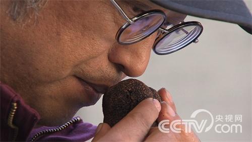 谭新培:地下寻宝《致富经》