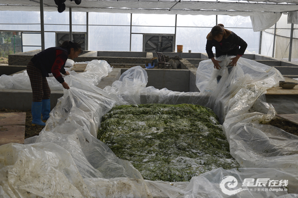 ڸѳطٹЩӣ˾Ͱǧ򻧵Ĳˡ