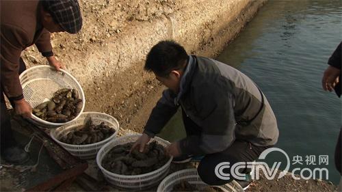 高玉志:我想像大哥一样《致富经》4