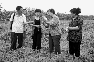 ͼΪйũԺ㶹רҺΣУָ