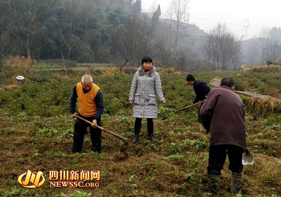 Ůӷҵ߹ְλ Ȼ紴ҵֲ