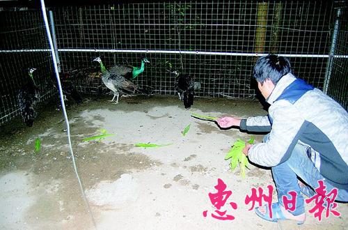 ȸӽСʹԱ䰮Ե߲ˣǶԶԶġ