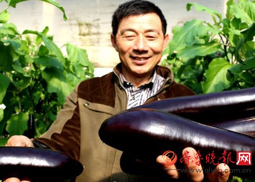 珍林合作社负责人程学刚谈起农超对接来,高兴地说,政府推行的新型职业农民培训,转变了农民的思想观念,促进了生产方式和营销手段的转变,让咱农民的富裕路子越走越宽。