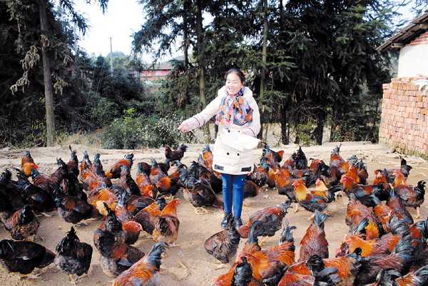 125գ촨رڴ巵紴ҵŮԬ