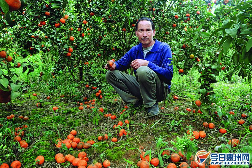 ܺӰ죬һֲ̽ĸ̽ۼ˳ɡ