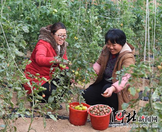 121գ̨ׯѧƣ󣩺ũһˮѡ