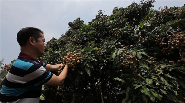 µËºé¾Å£ºÒÚÍò²Æ¸»´ÓÒ»¸ù±âµ£Æð²½¡¶Ö¸»¾¡·