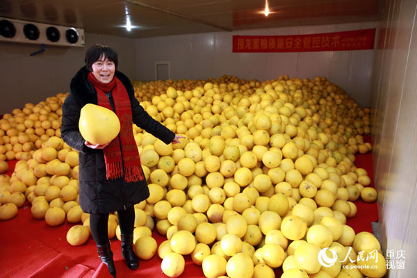 ڽ򴢴ӵУֲרҵ糤¿߽