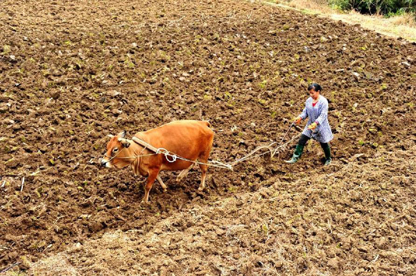 24գӳ޳İ˼ڷ׼ֲס