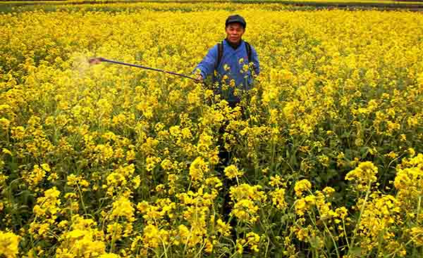 24գʡ˫ϪӱũͲ˵ؼæµ