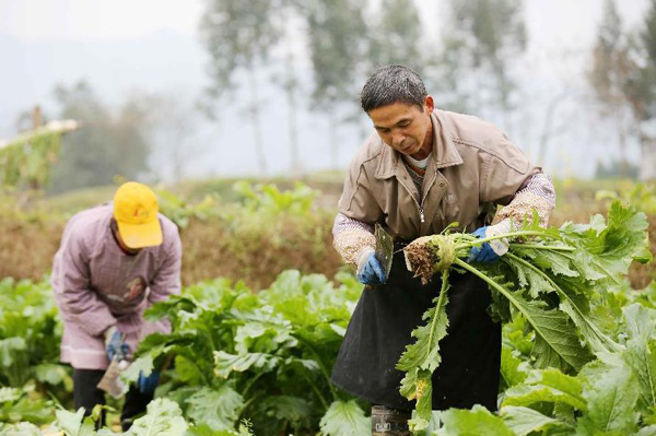 24գڰسС޴ũմͷˡ