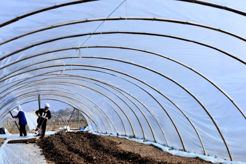 212գũڹʡŽسϵĴ硣