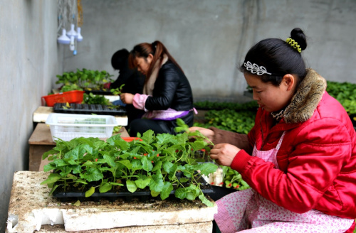 212գذصĹڴڼ޽硣