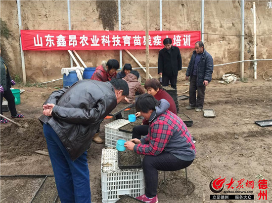 ڼΰũҵƼʾڳﱸмѵ