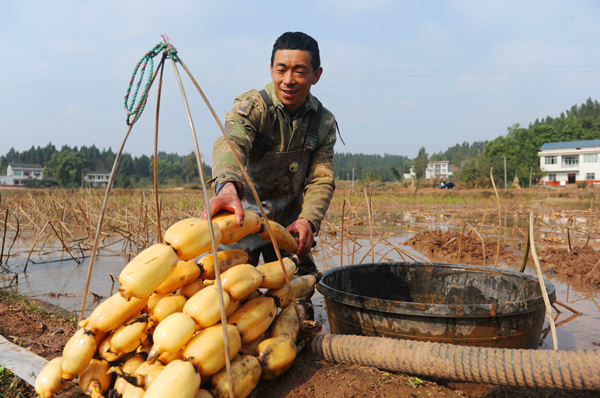 ͨźʵƶ¸ߴŲõЦݡ