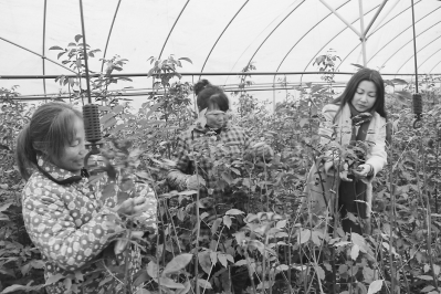 ½ִ仨Ϻɽˮ Ͷũҵ